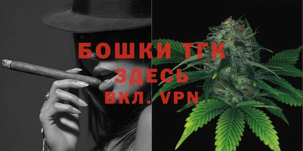 гидропоника Гусиноозёрск