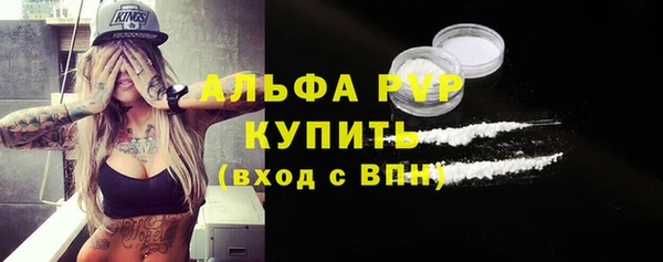 хмурый Гусев
