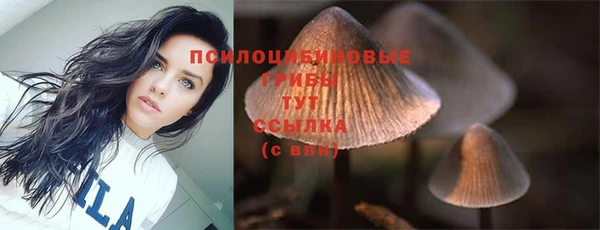 гидропоника Гусиноозёрск