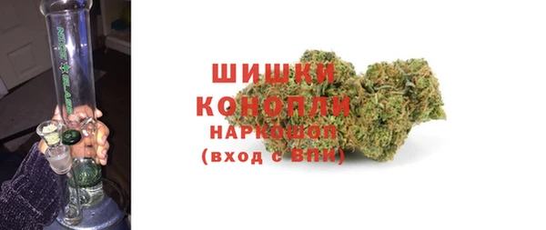 гидропоника Гусиноозёрск