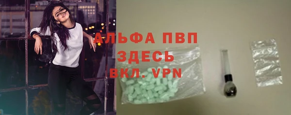 хмурый Гусев