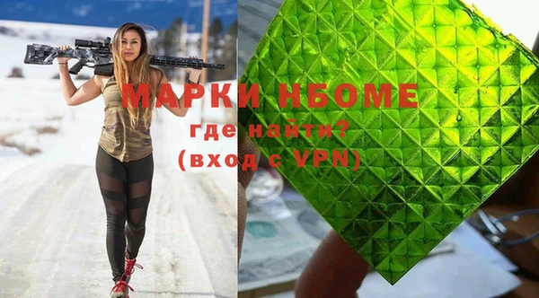 хмурый Гусев