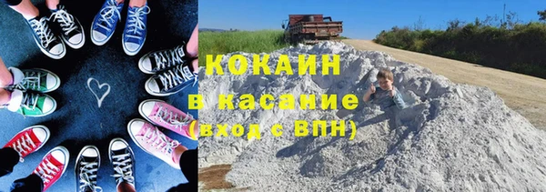 винт Гусь-Хрустальный