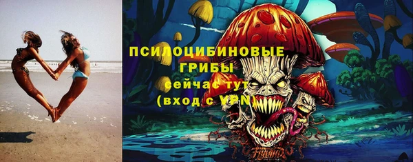 гидропоника Гусиноозёрск