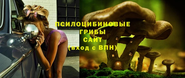 гидропоника Гусиноозёрск