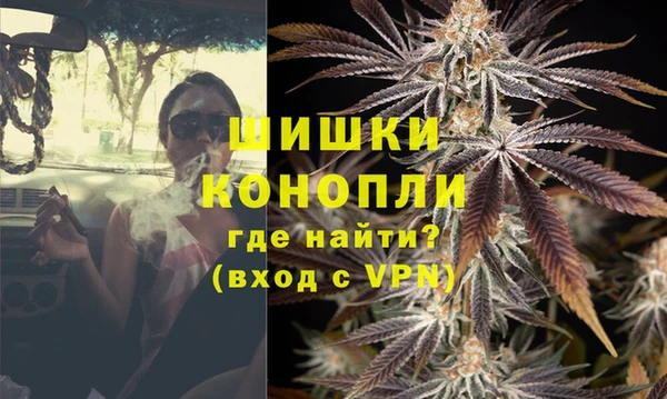 хмурый Гусев