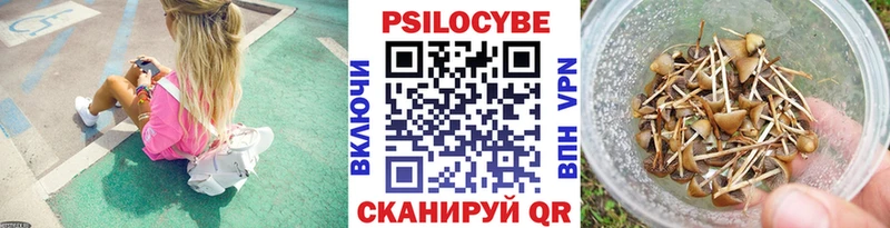 Галлюциногенные грибы мухоморы  omg сайт  Павловск  цена наркотик 